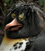 Big Z (Grego) em Tá Dando Onda