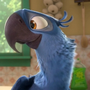 Blu em Rio e Rio 2
