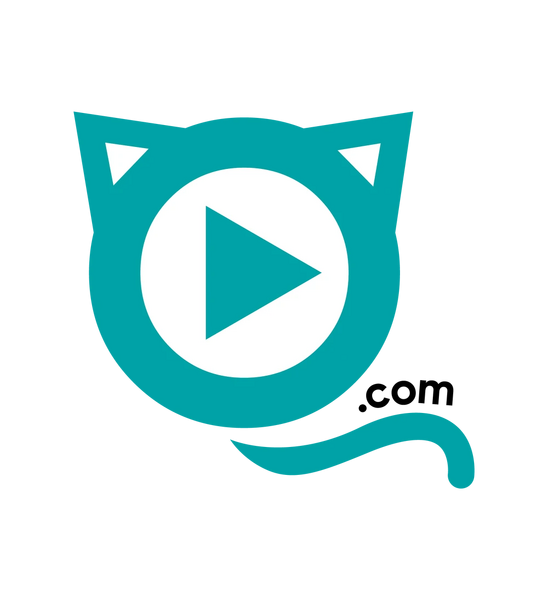 Arquivo:Anime Onegai logo 3.webp