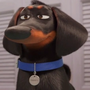 Buddy em Pets: A Vida Secreta dos Bichos e Pets: A Vida Secreta dos Bichos 2