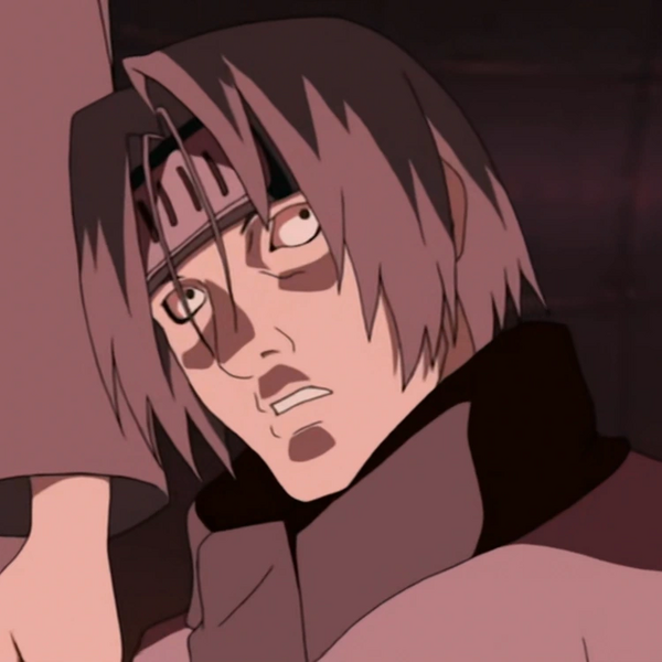 Arquivo:Tatsuji (NS).png