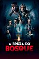 A Bruxa do Bosque (Co-Direção)