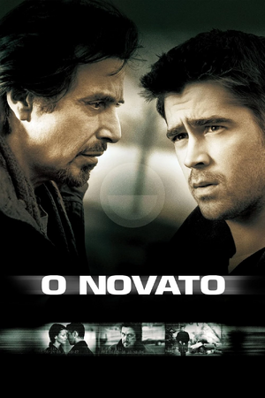 O Novato.jpg