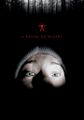 A Bruxa de Blair (1ª Dublagem)