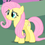 Fluttershy em My Little Pony: A Amizade é Mágica (1ª Temporada)