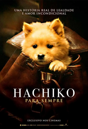 Hachiko- Para Sempre.webp