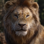 Simba em O Rei Leão (2019) e Mufasa: O Rei Leão