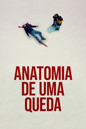 Anatomia de uma Queda.jpg