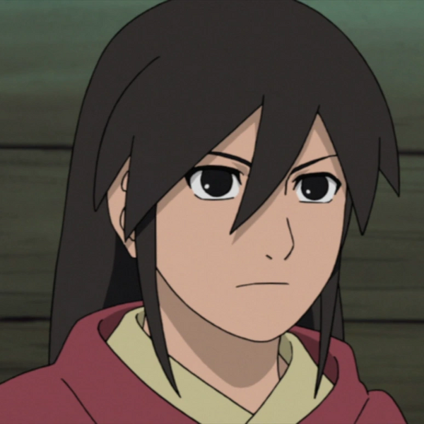 Arquivo:Shibuki (NS).png