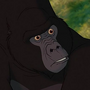 Kerchak em Tarzan e Tarzan II