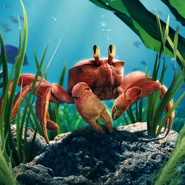 Arquivo:Sebastião (A Pequena Sereia-2023).jpg