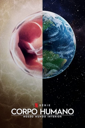Corpo Humano - Nosso Mundo Interior.webp