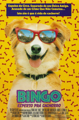 Bingo - Esperto Pra Cachorro.png