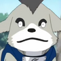 Shiba em Naruto Shippūden