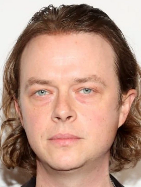 Arquivo:Dane DeHaan.jpg