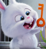 Bola de Neve em Pets: A Vida Secreta dos Bichos 1 e 2