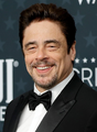 voz recorrente de Benicio Del Toro
