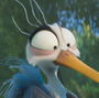 Erin em Patos!