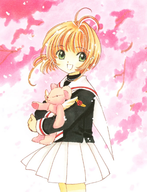 CCS IC V3 PG62.webp