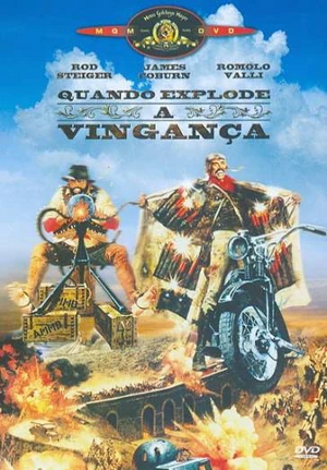 QUANDO EXPLODE A VINGANÇA.jpg