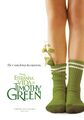 A Estranha Vida de Timothy Green