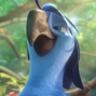Roberto em Rio 2