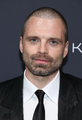 Sebastian Stan