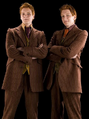 Fred Weasley e Jorge Weasley nos filmes da franquia Harry Potter e em Campeões do Quadribol