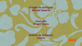 Créditos da dublagem brasileira exibida na Nickelodeon América Latina (Espanhol)