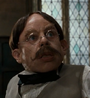 Fílio Flitwick na franquia Harry Potter