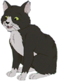 Gato (1ª voz) em O Pequeno Urso