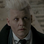 Gerardo Grindelwald em Animais Fantásticos e Onde Habitam