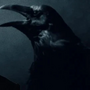 Matthew, o corvo em Sandman