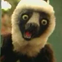 Zoboomafoo na série homônima