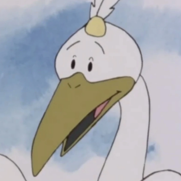 Arquivo:Chasid Cegonha.jpeg