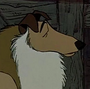 Collie em 101 Dálmatas