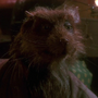 Mestre Splinter em As Tartarugas Ninja (1990) (Álamo)