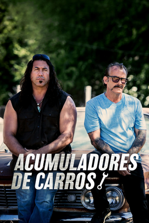 Acumuladores de Carros.png