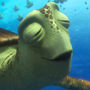 Crush em Procurando Nemo e Procurando Dory