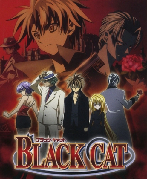 Arquivo:Black cat.jpg