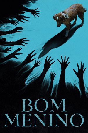 Bom Menino.jpg