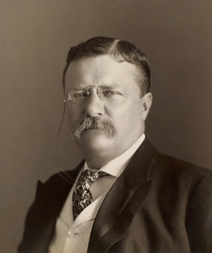 Theodore Roosevelt.jpg
