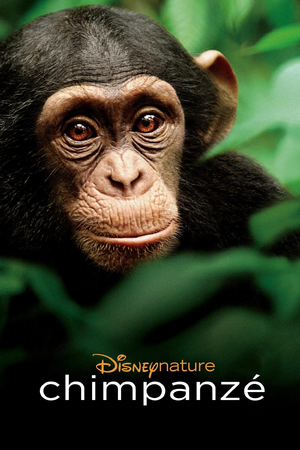 Chimpanzé - Pôster.jpg