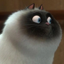 Gato Gordo em Bolt: Supercão