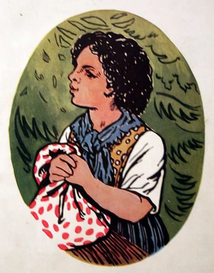Heidi (livro).jpg
