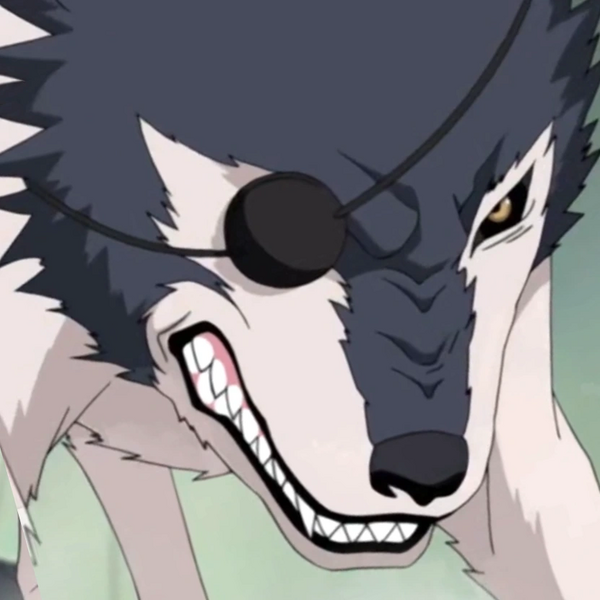 Arquivo:Kuromaru- NS.png