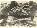'A Fuga de King Kong' em anúncio da Bandeirantes no jornal de 20/9/1974