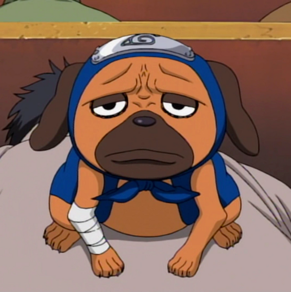 Arquivo:Pakkun (Naruto).png