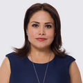 Miniatura da versão das 07h01min de 9 de agosto de 2026