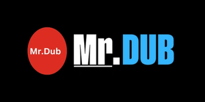 Mr. Dub <i>(2010-2014)</i>